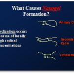 Cyclization-and-nanogel-formation