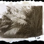 plants-made-of-soil