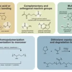 Benefits of lipoic acid as a photopolymerizable monomer, modifications to the carboxylic acid for the creation of high-value monomers. Dithiolane homopolymerization results in recyclable polydisulfides while copolymerization with alkenes (e.g., acrylates) yields materials capable of degradation to an oligomeric state.