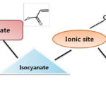 chemistry UV-curable polyurethane dispersion