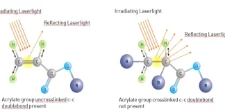Extinction of light in cross-linked molecules