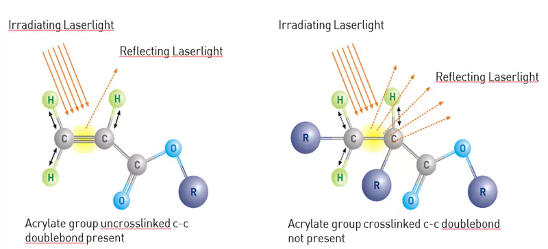 Extinction of light in cross-linked molecules
