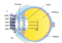 intraocular-filtering