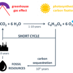 neutral-carbon-footprint-proposition