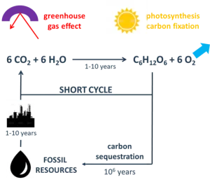 neutral-carbon-footprint-proposition