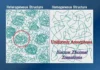Figure 3. Conceptualizing nanogels 6