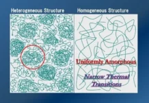 Figure 3. Conceptualizing nanogels 6